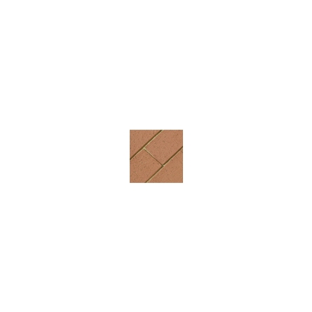Брусчатка PENTER ROT (PENTER KLINKER) 200x100x45 мм